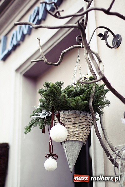 Zdjęcie w galerii na portalu naszraciborz.pl: Świąteczne szaleństwo w Kwiaciarni Lawender! wiadomości z regionu