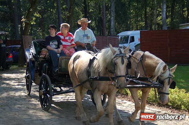 Zdjęcie w galerii na portalu naszraciborz.pl: Rodzinny piknik pracowników Rafako wiadomości z regionu