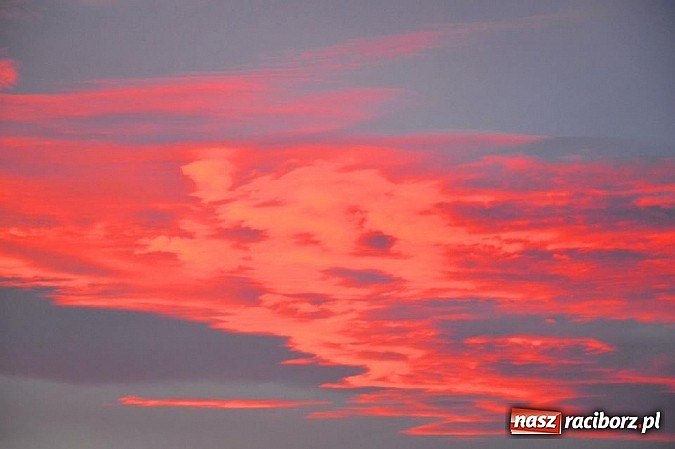 Zdjęcie w galerii na portalu naszraciborz.pl: Czerwone niebo nad Raciborzem - niecodzienny widok wiadomości z regionu