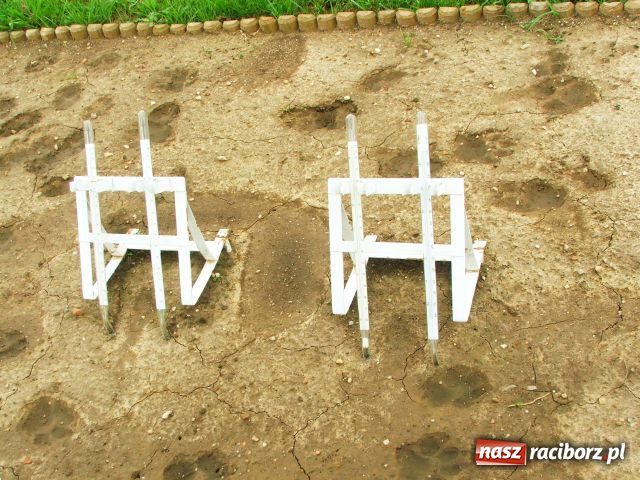 Zdjęcie w galerii na portalu naszraciborz.pl: Ciepło, ciepło, zimno... wiadomości z regionu