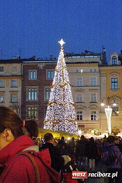 Zdjęcie w galerii na portalu naszraciborz.pl: Uczniowie z Krzanowic na wycieczce w Krakowie wiadomości z regionu