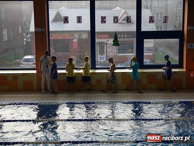 Zdjęcie w galerii na portalu naszraciborz.pl: Pływanie. Srebro Wiktorii Zub wiadomości z regionu