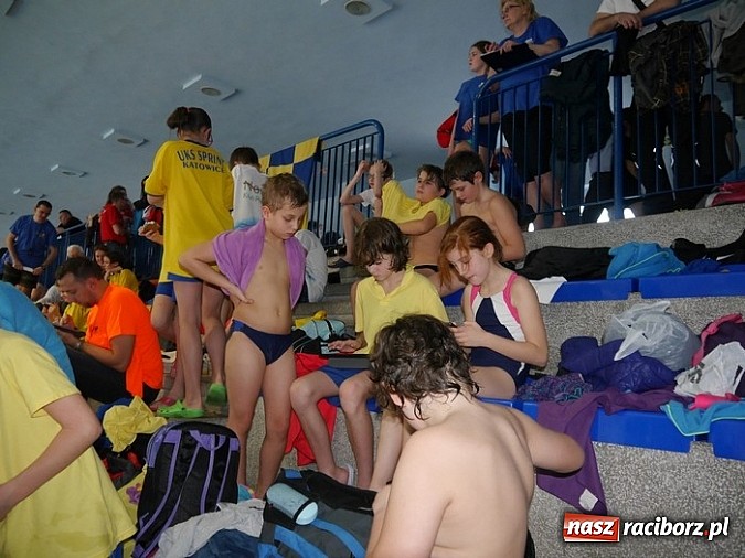 Zdjęcie w galerii na portalu naszraciborz.pl: Pływanie. Srebro Wiktorii Zub wiadomości z regionu