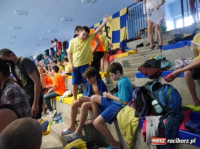 Zdjęcie w galerii na portalu naszraciborz.pl: Pływanie. Srebro Wiktorii Zub wiadomości z regionu