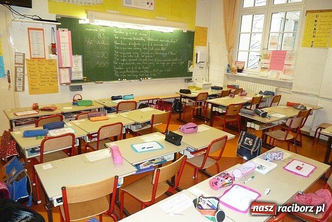 Zdjęcie w galerii na portalu naszraciborz.pl: Zwierzęta w sztuce i przyrodzie, czyli szkoła z Markowic w Comeniusie wiadomości z regionu