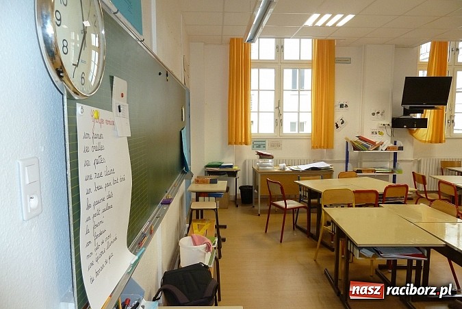 Zdjęcie w galerii na portalu naszraciborz.pl: Zwierzęta w sztuce i przyrodzie, czyli szkoła z Markowic w Comeniusie wiadomości z regionu