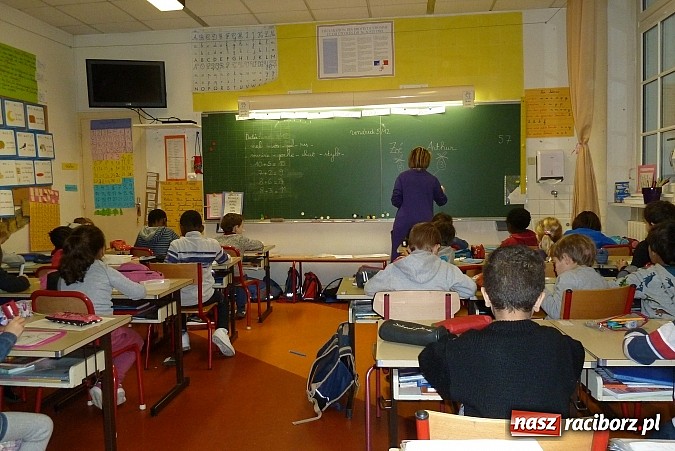 Zdjęcie w galerii na portalu naszraciborz.pl: Zwierzęta w sztuce i przyrodzie, czyli szkoła z Markowic w Comeniusie wiadomości z regionu