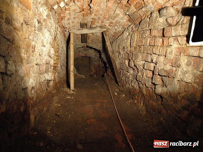 Zdjęcie w galerii na portalu naszraciborz.pl: Zamek pełen odkryć  wiadomości z regionu