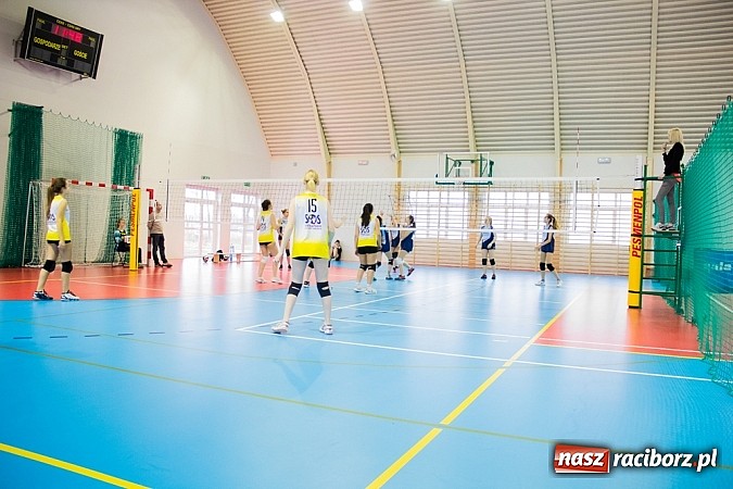 Zdjęcie w galerii na portalu naszraciborz.pl: IX Turniej Piłki Siatkowej Młodziczek o Puchar Starosty Raciborskiego wiadomości z regionu