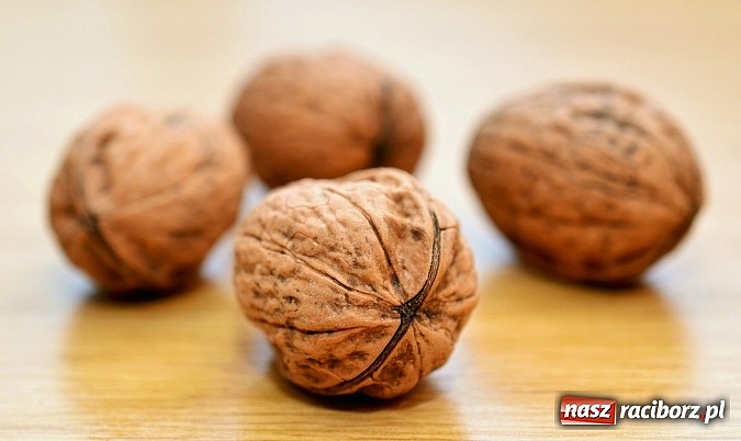 Zdjęcie w galerii na portalu naszraciborz.pl: Alfabet regionalnych specjałów bożonarodzeniowych wiadomości z regionu