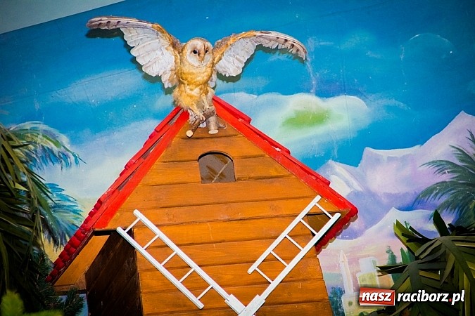 Zdjęcie w galerii na portalu naszraciborz.pl: Zobacz szopki bożonarodzeniowe w raciborskich kościołach wiadomości z regionu