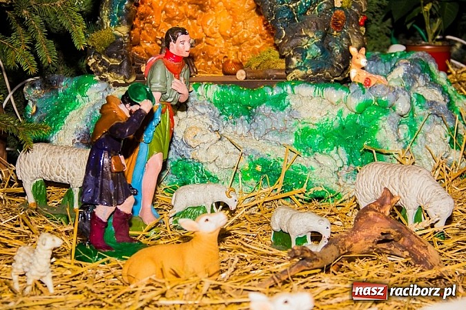 Zdjęcie w galerii na portalu naszraciborz.pl: Zobacz szopki bożonarodzeniowe w raciborskich kościołach wiadomości z regionu