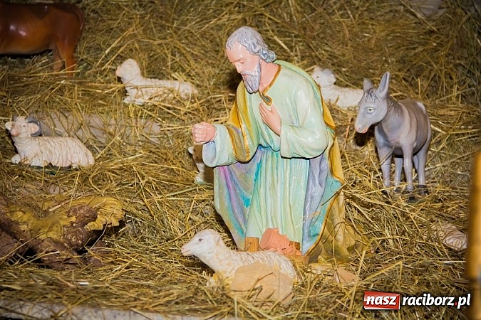 Zdjęcie w galerii na portalu naszraciborz.pl: Zobacz szopki bożonarodzeniowe w raciborskich kościołach wiadomości z regionu