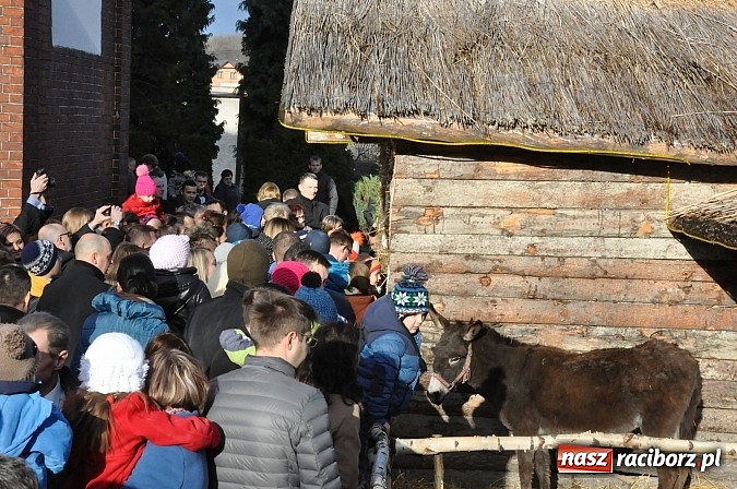 Zdjęcie w galerii na portalu naszraciborz.pl: Brzezie zaprasza do żywej stajenki betlejemskiej wiadomości z regionu