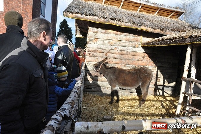 Zdjęcie w galerii na portalu naszraciborz.pl: Brzezie zaprasza do żywej stajenki betlejemskiej wiadomości z regionu