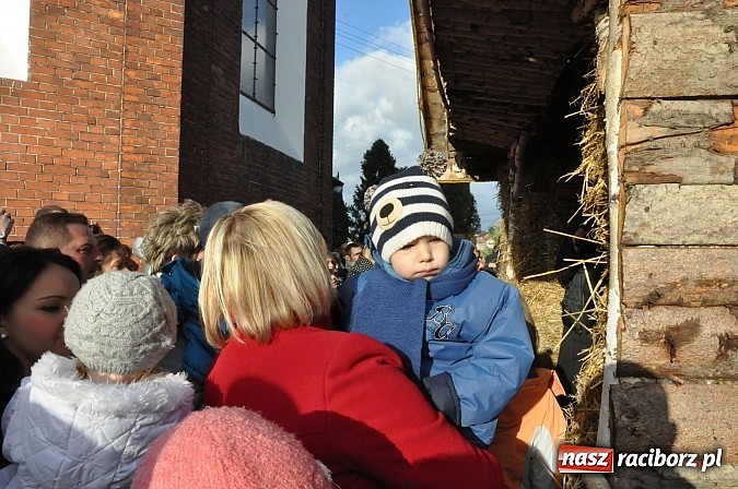 Zdjęcie w galerii na portalu naszraciborz.pl: Brzezie zaprasza do żywej stajenki betlejemskiej wiadomości z regionu