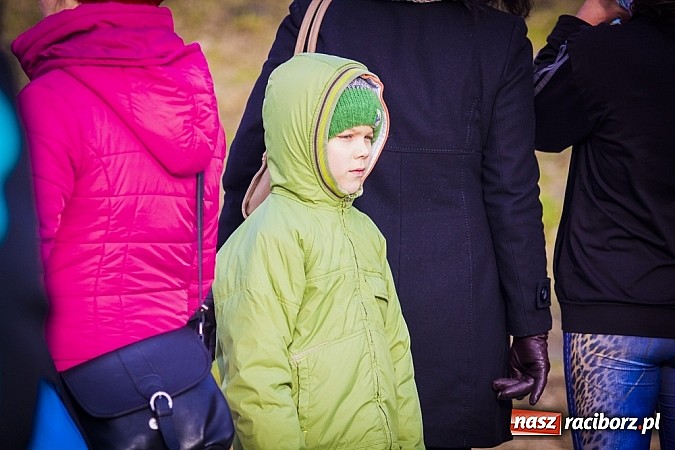 Zdjęcie w galerii na portalu naszraciborz.pl: I Bieg Nadodrzański za nami wiadomości z regionu