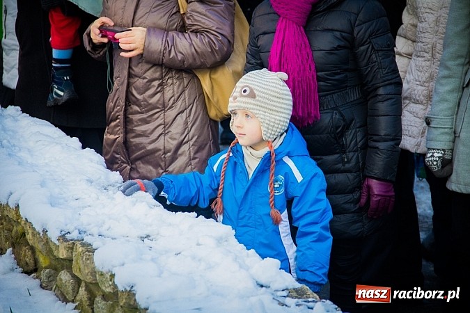 Zdjęcie w galerii na portalu naszraciborz.pl: I Raciborski Orszak Trzech Króli. Setki wiernych przeszło ze Starej Wsi na Rynek. WIDEO wiadomości z regionu