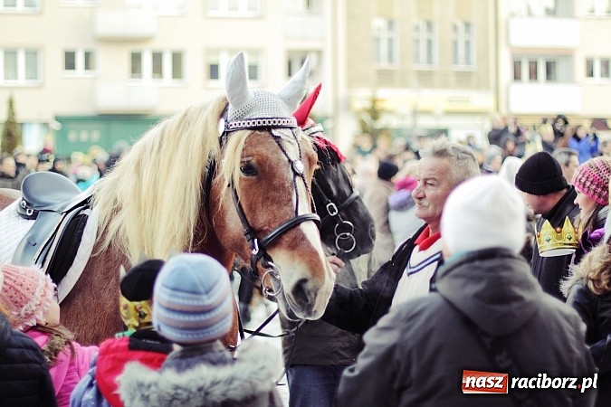 Zdjęcie w galerii na portalu naszraciborz.pl: I Raciborski Orszak Trzech Króli. Setki wiernych przeszło ze Starej Wsi na Rynek. WIDEO wiadomości z regionu