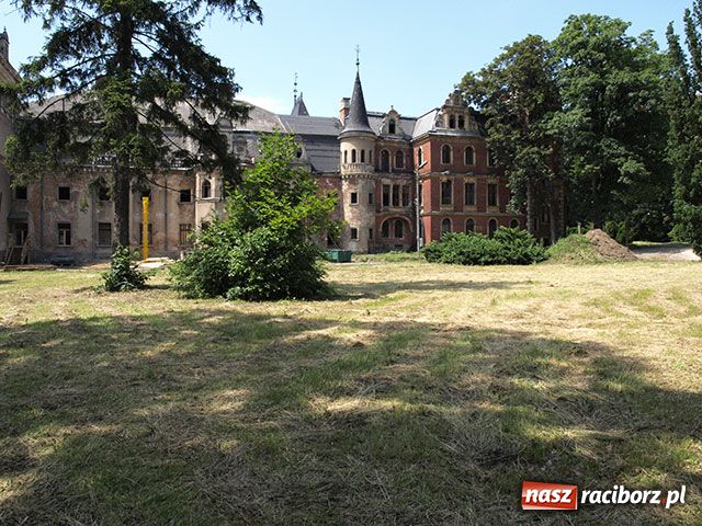 Zdjęcie w galerii na portalu naszraciborz.pl: Tajny projekt Piwków wiadomości z regionu