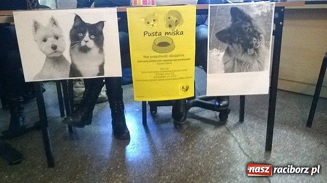 Zdjęcie w galerii na portalu naszraciborz.pl: Raciborscy studenci po raz kolejny pokazali, że lubią pomagać! wiadomości z regionu