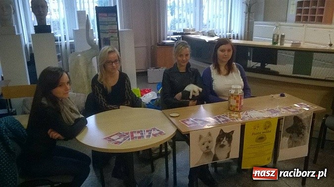 Zdjęcie w galerii na portalu naszraciborz.pl: Raciborscy studenci po raz kolejny pokazali, że lubią pomagać! wiadomości z regionu