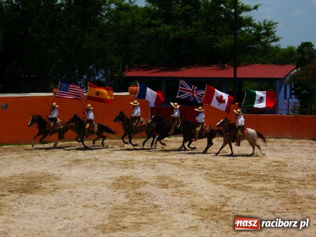 Zdjęcie w galerii na portalu naszraciborz.pl: Przywiózł srebro z Meksyku wiadomości z regionu