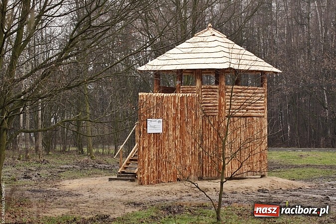 Zdjęcie w galerii na portalu naszraciborz.pl: Dokończą gród przy Arboretum Bramy Morawskiej wiadomości z regionu