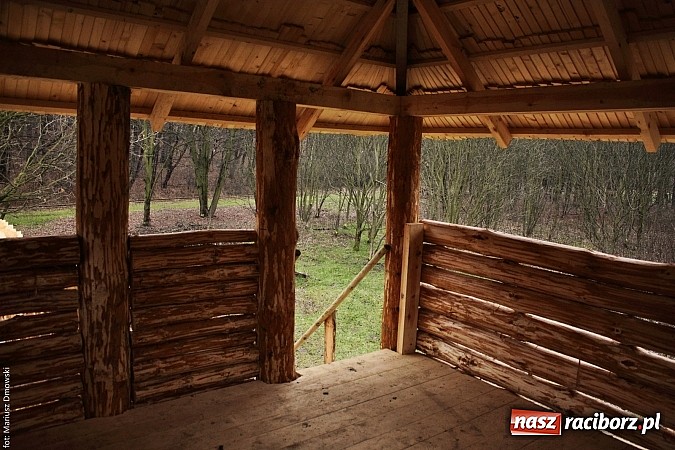 Zdjęcie w galerii na portalu naszraciborz.pl: Dokończą gród przy Arboretum Bramy Morawskiej wiadomości z regionu