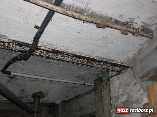 Zdjęcie w galerii na portalu naszraciborz.pl: Jak nas zalało, to MZB się obudziło wiadomości z regionu