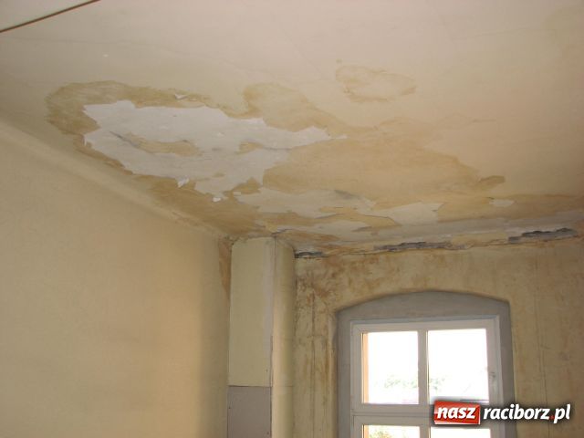 Zdjęcie w galerii na portalu naszraciborz.pl: Jak nas zalało, to MZB się obudziło wiadomości z regionu