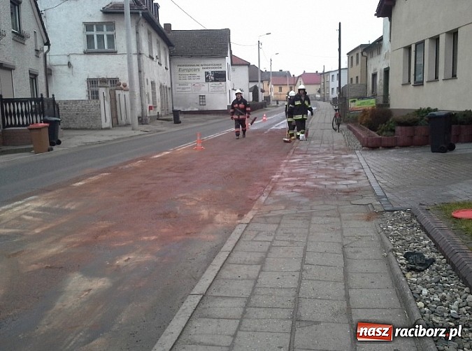 Zdjęcie w galerii na portalu naszraciborz.pl: Plama oleju w Pietrowicach Wielkich wiadomości z regionu