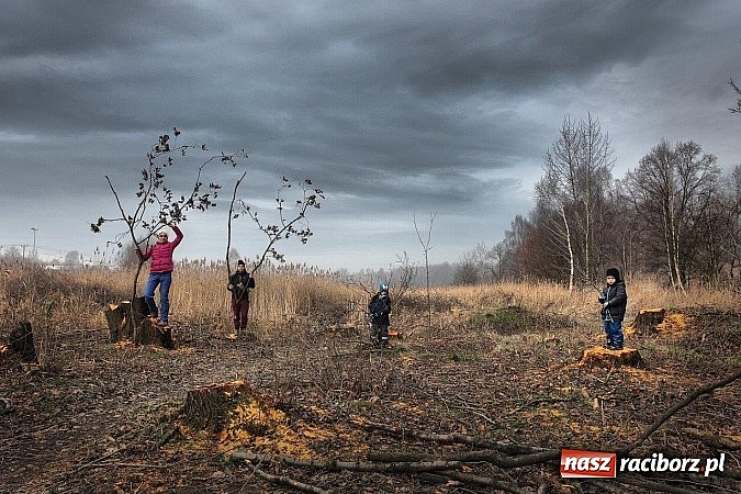 Zdjęcie w galerii na portalu naszraciborz.pl: Niezwykła ekologiczna wystawa fotograficzna odbyła się w Radlinie wiadomości z regionu