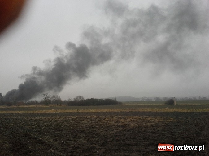 Zdjęcie w galerii na portalu naszraciborz.pl: Pożar podczas rozbiórki zbiornika po asfalcie!  wiadomości z regionu