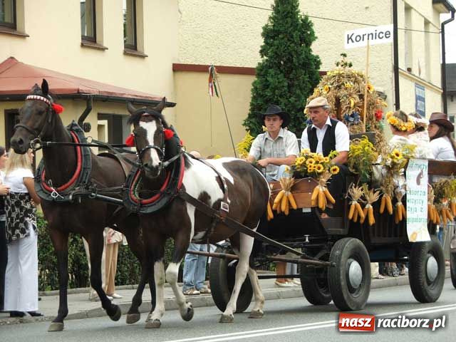 Zdjęcie w galerii na portalu naszraciborz.pl: Tłumy na dożynkach w Pietrowicach wiadomości z regionu