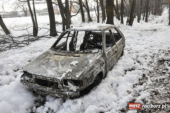 Zdjęcie w galerii na portalu naszraciborz.pl: Pechowa poranna wizyta w lesie na Widoku. Zwarcie przyczyną pożaru! wiadomości z regionu