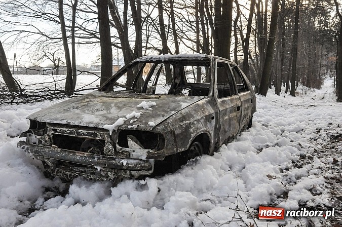 Zdjęcie w galerii na portalu naszraciborz.pl: Pechowa poranna wizyta w lesie na Widoku. Zwarcie przyczyną pożaru! wiadomości z regionu