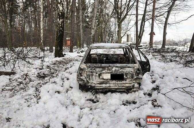 Zdjęcie w galerii na portalu naszraciborz.pl: Pechowa poranna wizyta w lesie na Widoku. Zwarcie przyczyną pożaru! wiadomości z regionu