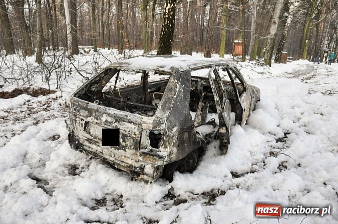 Zdjęcie w galerii na portalu naszraciborz.pl: Pechowa poranna wizyta w lesie na Widoku. Zwarcie przyczyną pożaru! wiadomości z regionu