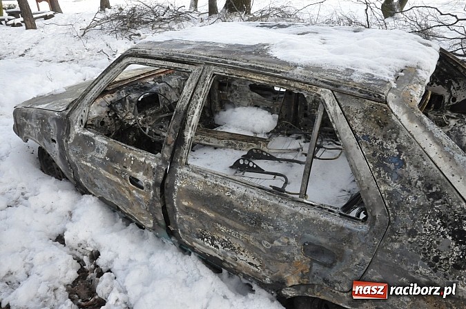 Zdjęcie w galerii na portalu naszraciborz.pl: Pechowa poranna wizyta w lesie na Widoku. Zwarcie przyczyną pożaru! wiadomości z regionu