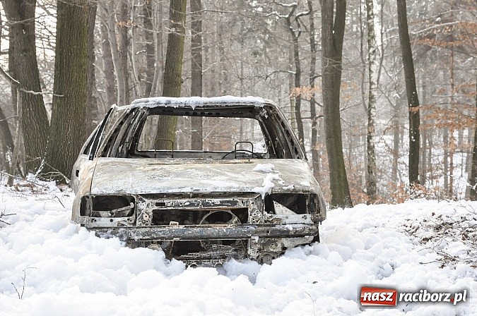 Zdjęcie w galerii na portalu naszraciborz.pl: Pechowa poranna wizyta w lesie na Widoku. Zwarcie przyczyną pożaru! wiadomości z regionu