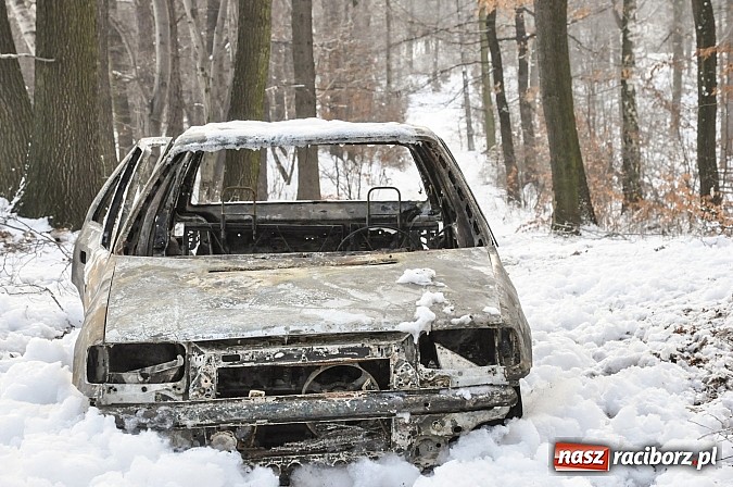 Zdjęcie w galerii na portalu naszraciborz.pl: Pechowa poranna wizyta w lesie na Widoku. Zwarcie przyczyną pożaru! wiadomości z regionu