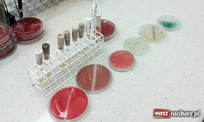 Zdjęcie w galerii na portalu naszraciborz.pl: Chemicy z ZSZ na praktykach w szpitalu  wiadomości z regionu