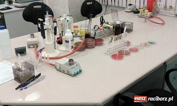 Zdjęcie w galerii na portalu naszraciborz.pl: Chemicy z ZSZ na praktykach w szpitalu  wiadomości z regionu