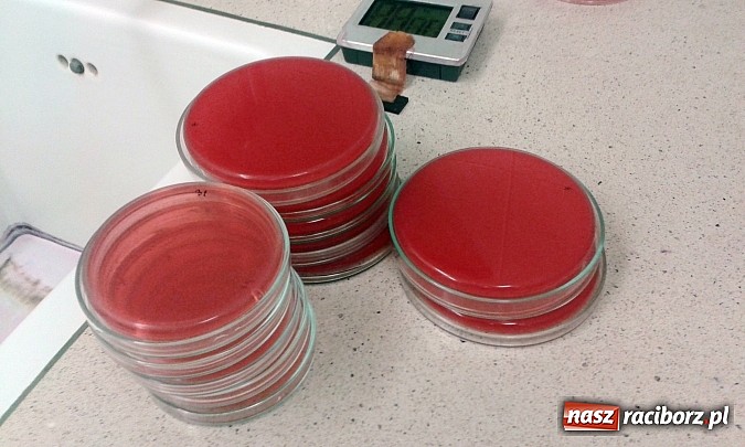 Zdjęcie w galerii na portalu naszraciborz.pl: Chemicy z ZSZ na praktykach w szpitalu  wiadomości z regionu