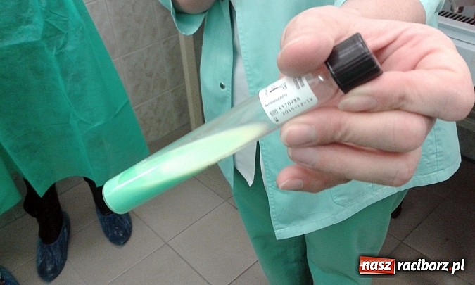 Zdjęcie w galerii na portalu naszraciborz.pl: Chemicy z ZSZ na praktykach w szpitalu  wiadomości z regionu