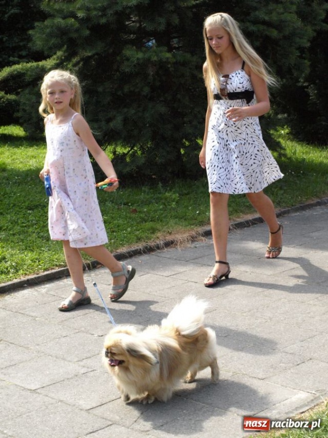 Zdjęcie w galerii na portalu naszraciborz.pl: Dni Krzanowic: UKS zbiera na II ligę wiadomości z regionu