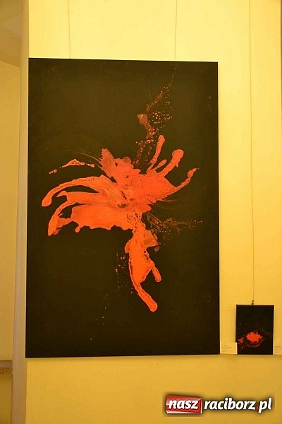 Zdjęcie w galerii na portalu naszraciborz.pl: Metapsychiczne Treści - na zamku otwarto nową wystawę wiadomości z regionu