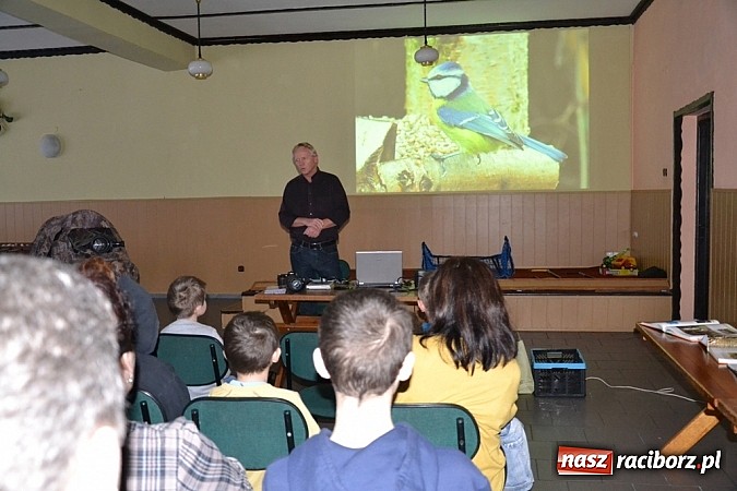 Zdjęcie w galerii na portalu naszraciborz.pl: Czym różni się pierwiosnek od piecuszka?  wiadomości z regionu