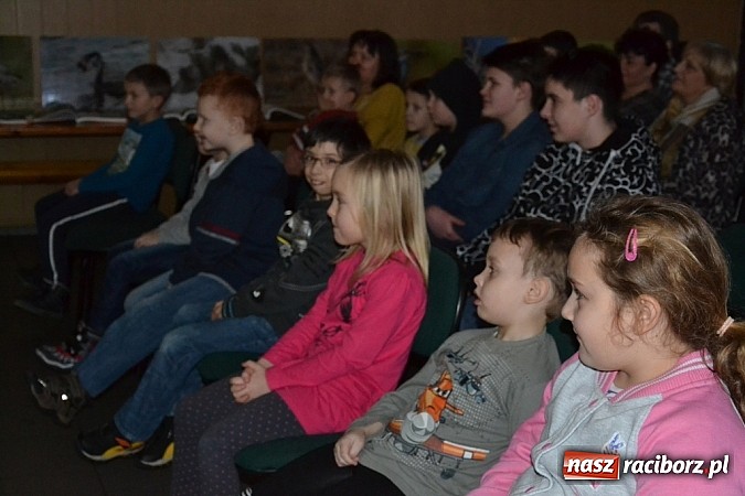 Zdjęcie w galerii na portalu naszraciborz.pl: Czym różni się pierwiosnek od piecuszka?  wiadomości z regionu